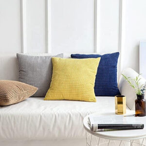 Corn Corduroy Cushion & Cover Set